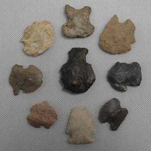 May include: A collection of eight stone arrowheads arranged in a circular pattern. The arrowheads vary in color, including shades of tan, beige, brown, gray, and dark charcoal, and feature distinct chipped edges and pointed tips of various shapes.