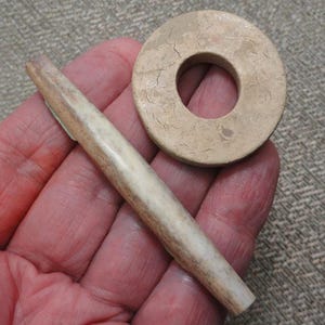 May include: A smooth, tapered, off-white cylindrical object with mottled brown markings alongside a flat, circular, beige disc featuring a cracked, weathered surface texture. Both items are light-colored and appear to be solid, rigid pieces.