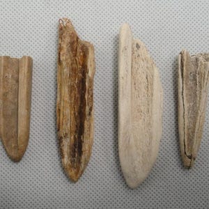 4 Nice Authentic Bone Awls Found In Ohio / Artifact / Relic / Arrowhead