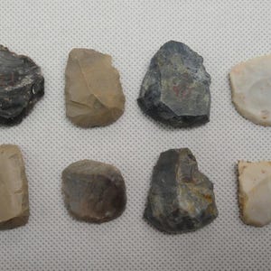 May include: Eight irregularly shaped, hand-chipped stone tools in various shades of gray, brown, and off-white. The tools are arranged in two rows of four, showcasing different textures and forms, likely for prehistoric use.