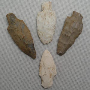 May include: A collection of four stone arrowheads featuring varied textures and colors. One arrowhead is white, one is light beige, and two are shades of brown. Each piece displays distinct flaked edges and a pointed tip, showcasing natural stone craftsmanship.