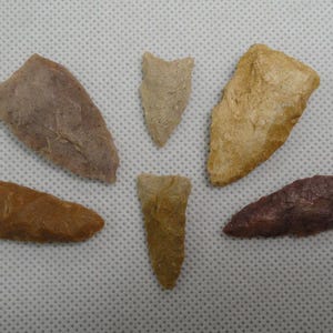 May include: Six ancient stone arrowheads in shades of brown, tan, and beige are arranged on a white surface. The arrowheads vary in size and shape, with some having a triangular design and others a more elongated form.