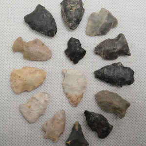 Nice Group Of 14 Authentic Birdpoint Arrowheads Found In Ohio / Artifact / Relic / Arrowhead