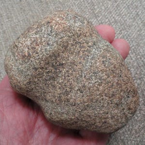 May include: A rounded, textured stone with a mottled brown and gray appearance. The stone is held in a hand, showcasing its smooth, worn surface. The stone's shape is irregular, with a slightly flattened base.