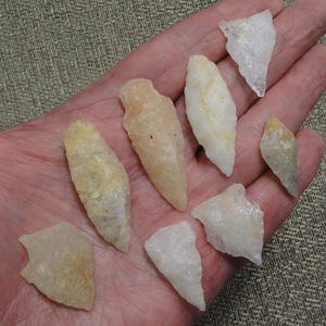 May include: A collection of eight small, pale-colored stone arrowheads and fragments. The arrowheads vary in shape, with some pointed and others triangular. The stones are held in a hand, showcasing their natural textures and hues.