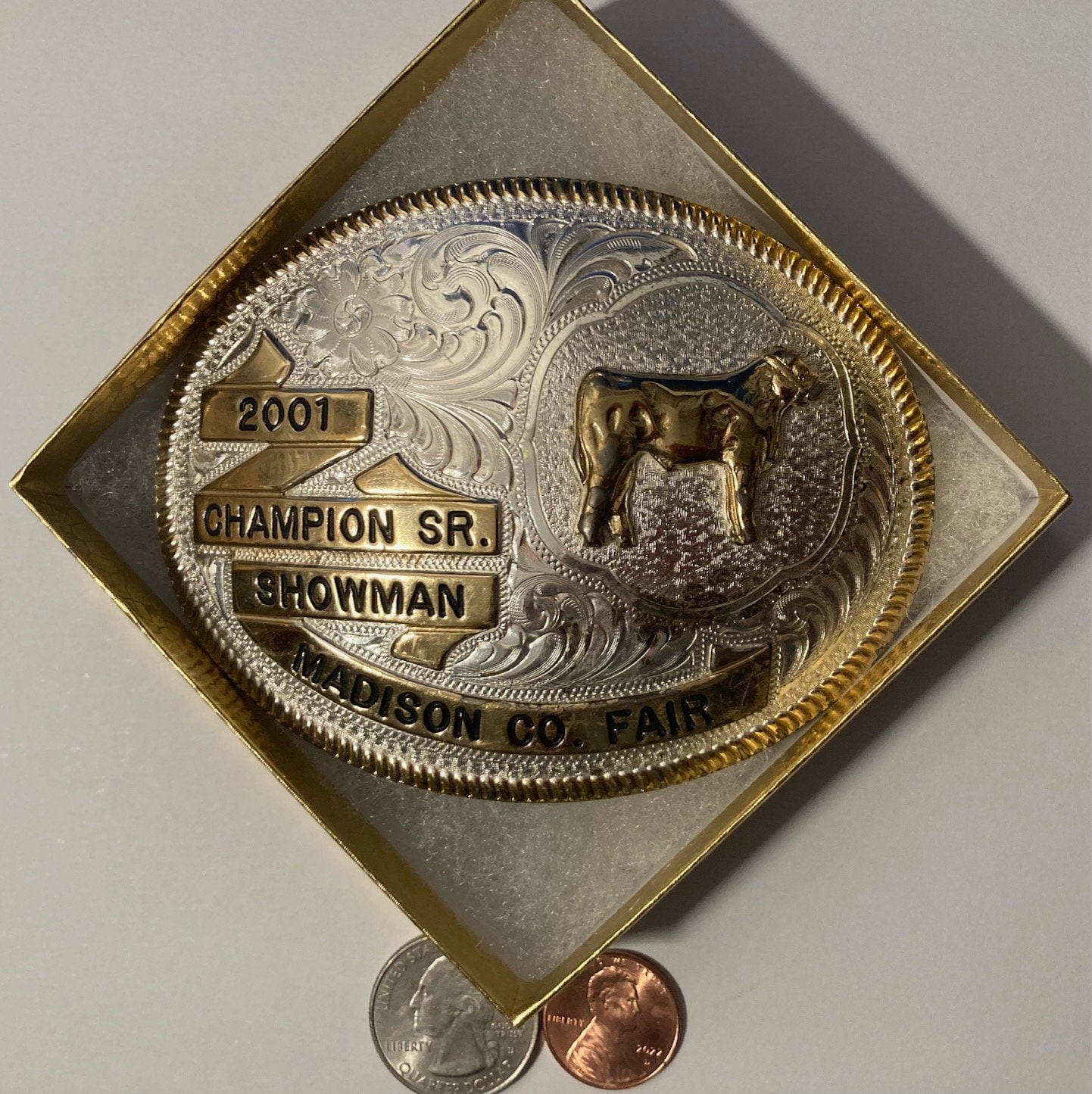 Vintage 2001 Metal Belt Buckle, Silver and Brass, Montana