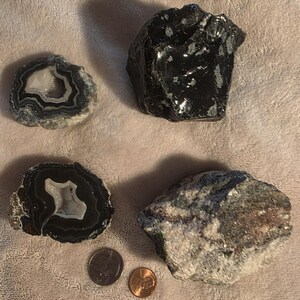 May include: A collection of natural stones and minerals. Two polished agate slices with concentric black and white bands, a large black obsidian rock with white inclusions, and a rough, speckled stone. Two coins are also present.