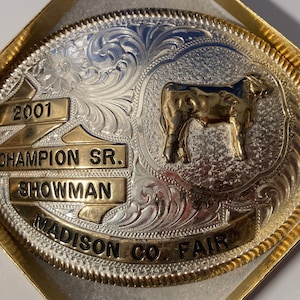 Vintage 2001 Metal Belt Buckle, Silver and Brass, Montana Silversmiths, Champion Sr. Showman, Senior, Madison County Fair, Ohio, Cow