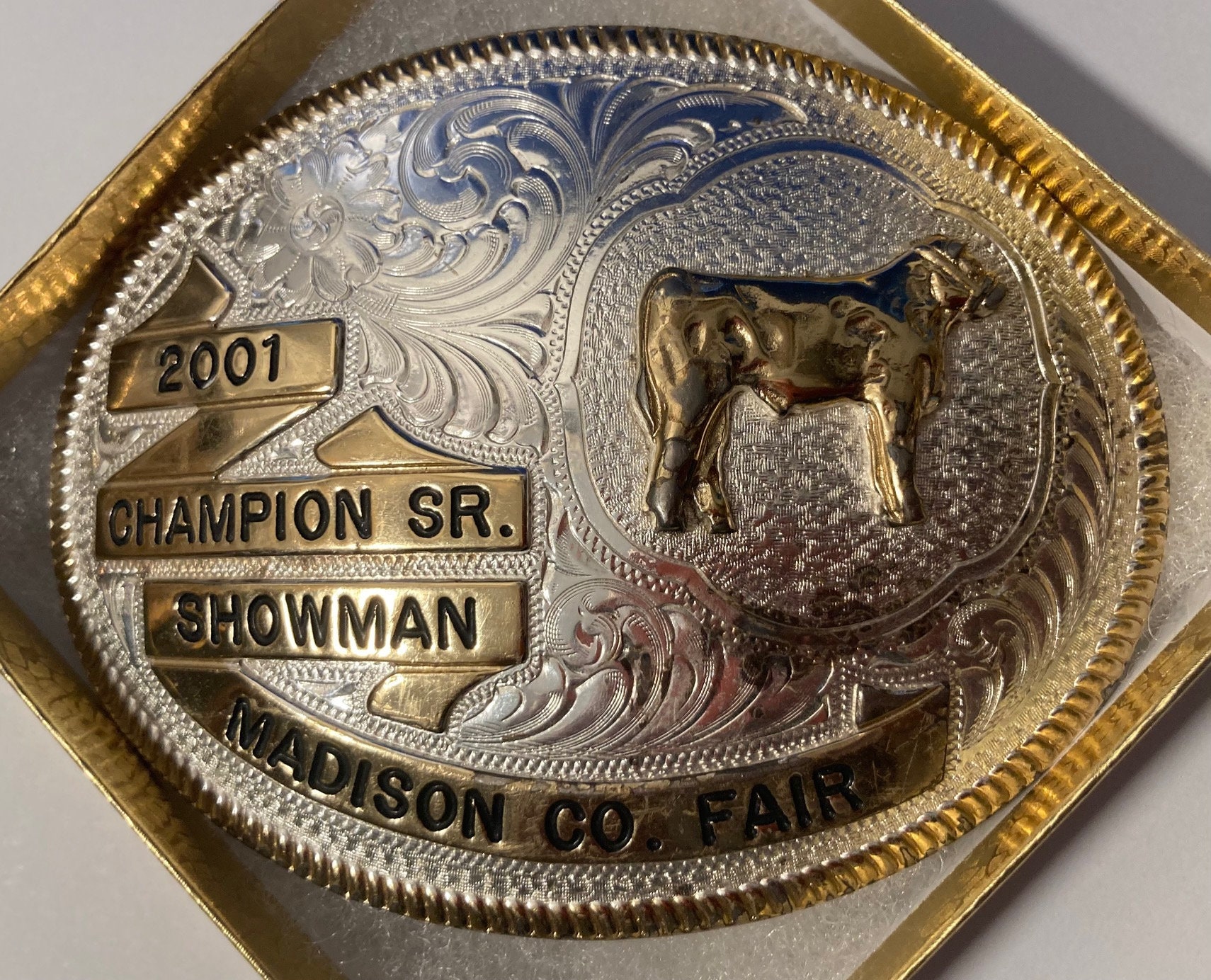 Vintage 2001 Metal Belt Buckle, Silver and Brass, Montana