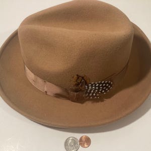 May include: A brown felt fedora hat with a brown ribbon and a small black and white feather accent.