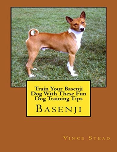 Basenji: Train Your Basenji Dog With These Fun Dog Training Tips