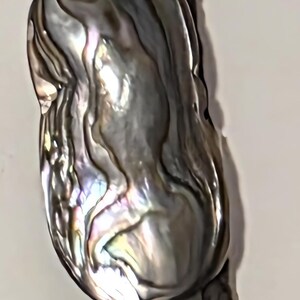 Op de afbeelding: Een close-up van een bolo stropdas met een iriserende abalone schelp hanger. De hanger is bevestigd aan een donkerbruin, gevlochten leren koord. De schelp toont een reeks kleuren.