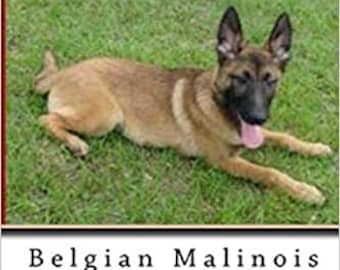 How to Train and Understand Your Belgian Malinois Puppy & Dog