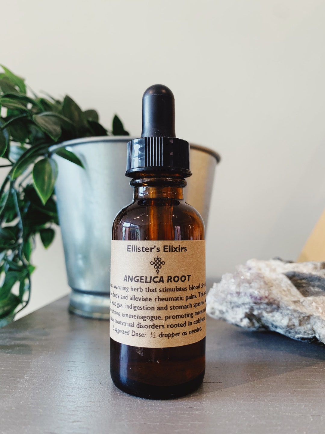 Angelica Root Tincture Etsy