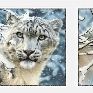 May include: A close-up of a snow leopard and a wolf in a snowy forest setting. The snow leopard is looking directly at the viewer, while the wolf is looking off to the side. Both animals are covered in snow.