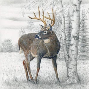 Big Game Deer Fabric Wallhanging Quilt Panel Sewing Crafting Quilting Fabric Panel Man&#39;s Buck Hunting Quilt Panel by Riley Blake Designs