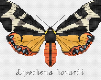 Dysschema howardi Moth Cross Stitch Pattern - PDF Téléchargement instantané