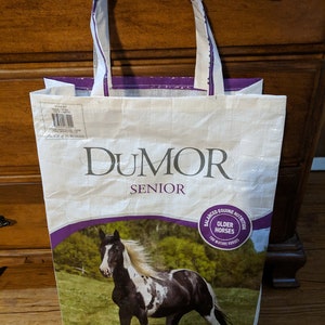 Upcycled Grocery Bag/Tote