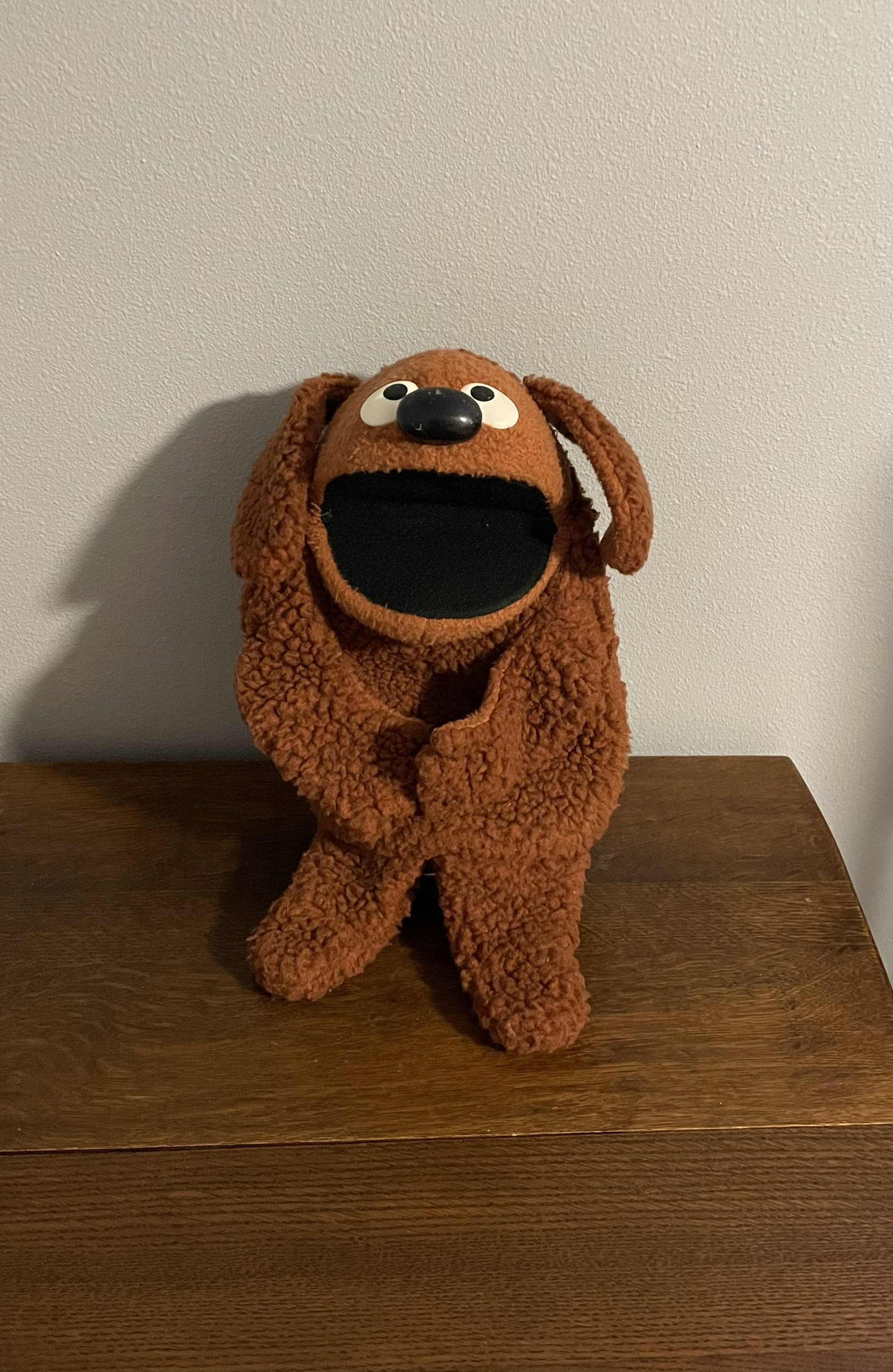 vintage dog teddy