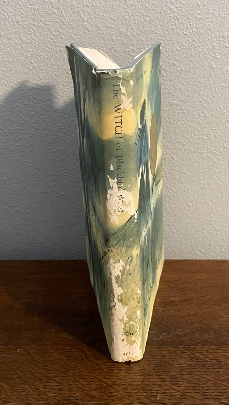 May include: The Witch of Blackbird Pond by Elizabeth George Speare. A vintage paperback book with a blue and green cover featuring a woman in a long dress and a man in a hat. The title is printed in white on the spine.
