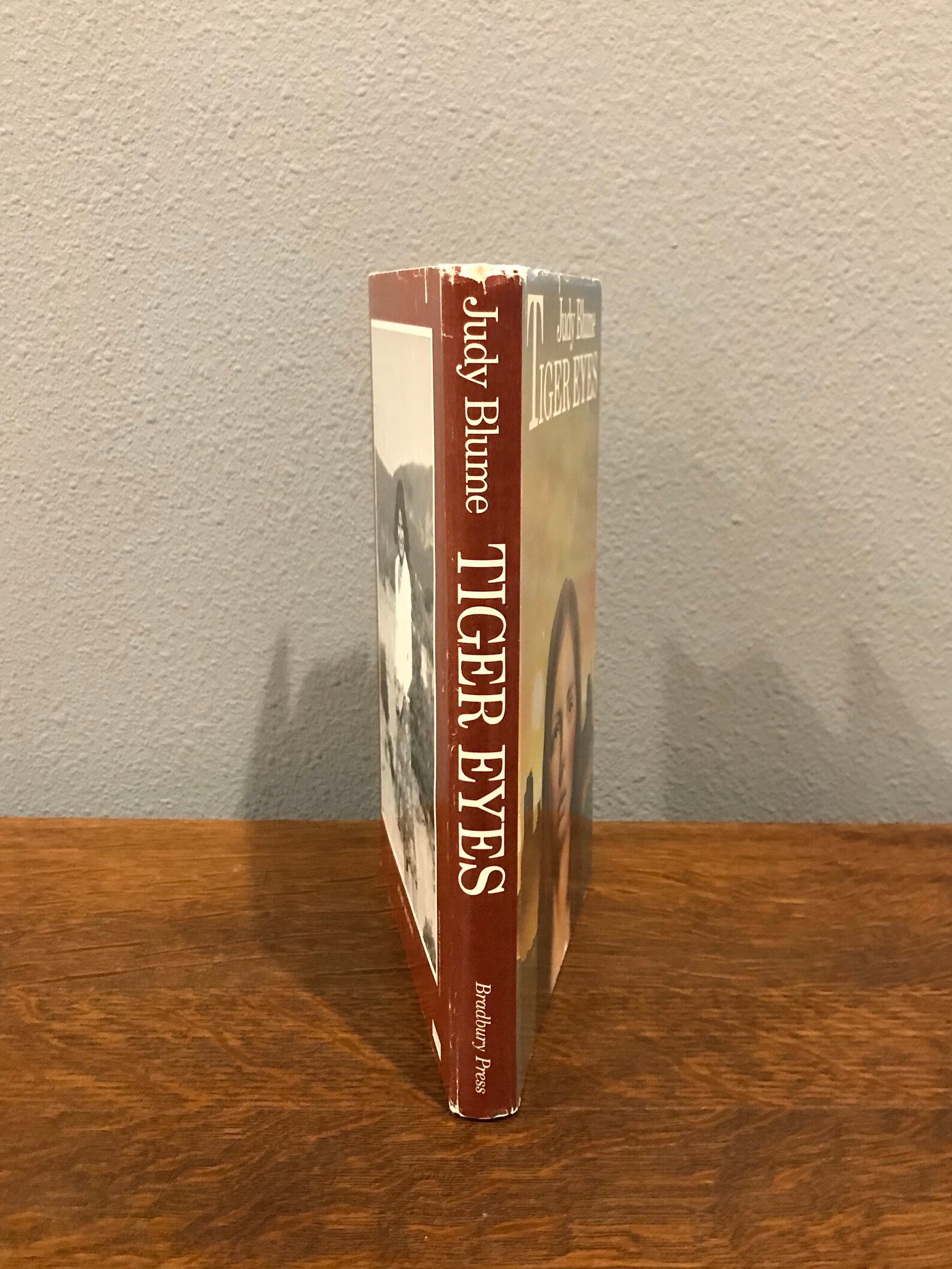 Tiger Eyes by Judy Blume Tiger Eyes by Judy Blume