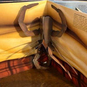 May include: A pop-up book featuring a detailed, three-dimensional illustration of a brown spider. The spider's legs and body are intricately designed, with a focus on its segmented structure. The background is a warm, yellow-toned environment.
