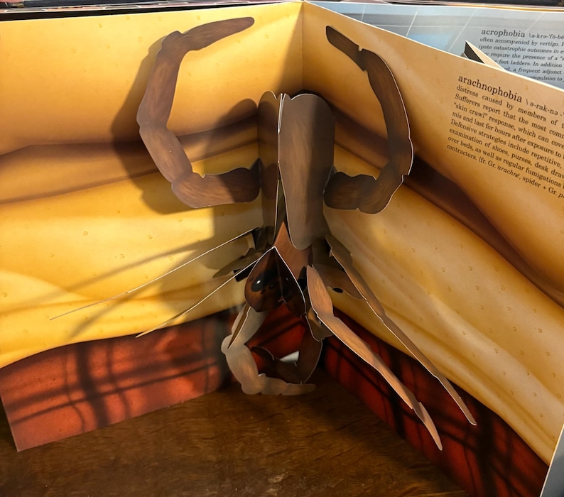 May include: A pop-up book featuring a detailed, three-dimensional illustration of a brown spider. The spider's legs and body are intricately designed, with a focus on its segmented structure. The background is a warm, yellow-toned environment.
