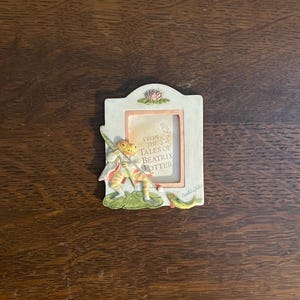 May include: A rectangular picture frame with a cream-colored border and a light pink interior. The frame features a 3D frog character holding a spear, with the text "FROM THE TALES OF BEATRIX POTTER".