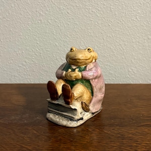 Op de afbeelding: Een keramieken beeldje van een kikker gekleed in een roze jas en groen vest, zittend op een stapel boeken. De kikker heeft bruine schoenen en een lichtbruin gezicht met gele ogen. Het beeldje staat op een houten oppervlak.