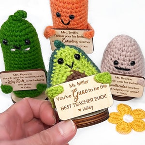 Handmade Crochet Caring Teacher Gift, Avocado, Carrot Emotional Support, Potato, Pickle, Teacher's Appreciate Gift Idea