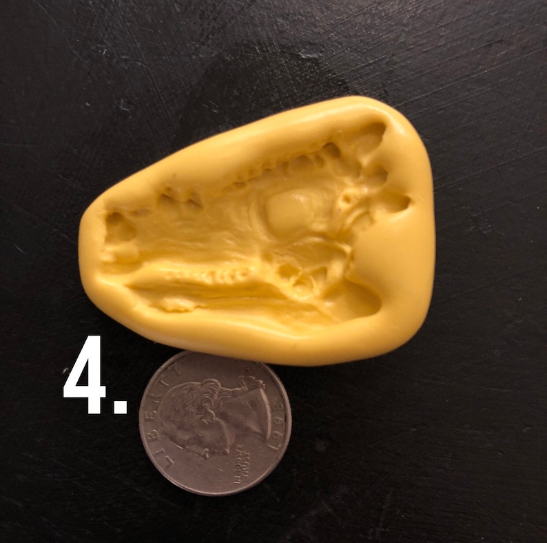 large dinosaur fossil mold