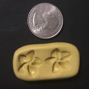 Sm. Plumeria Flower Mold