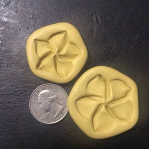 2 pc. Plumeria Flower Mold