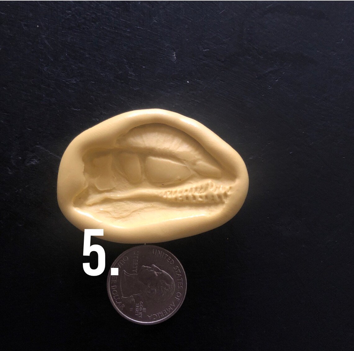 large dinosaur fossil mold