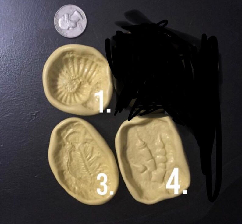 large dinosaur fossil mold