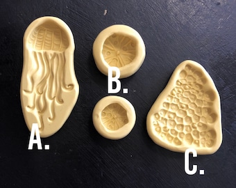 Sea Urchin, Jellyfish Spongey Coral Molds