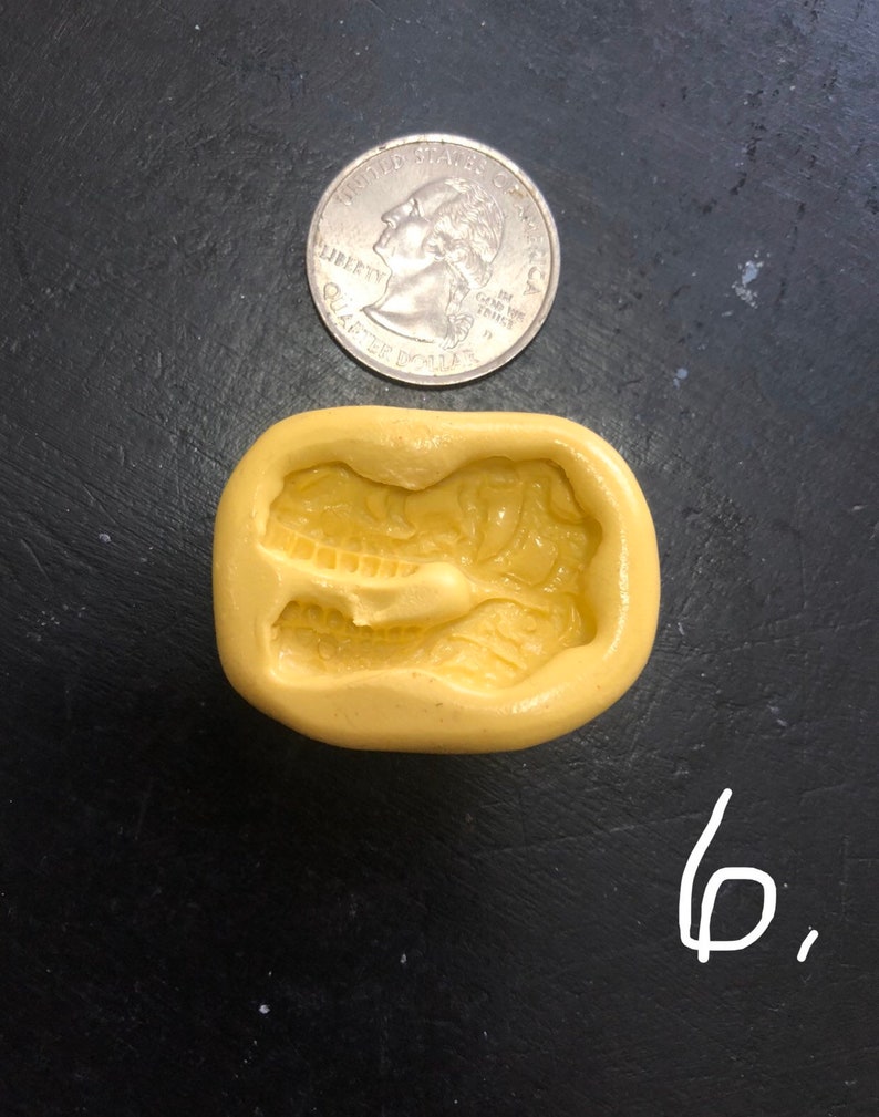 large dinosaur fossil mold