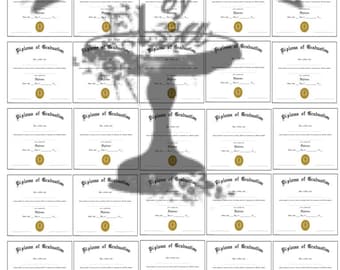 Diploma PDF