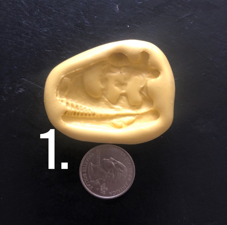 Dinosaur Fossil Head Mold - Etsy