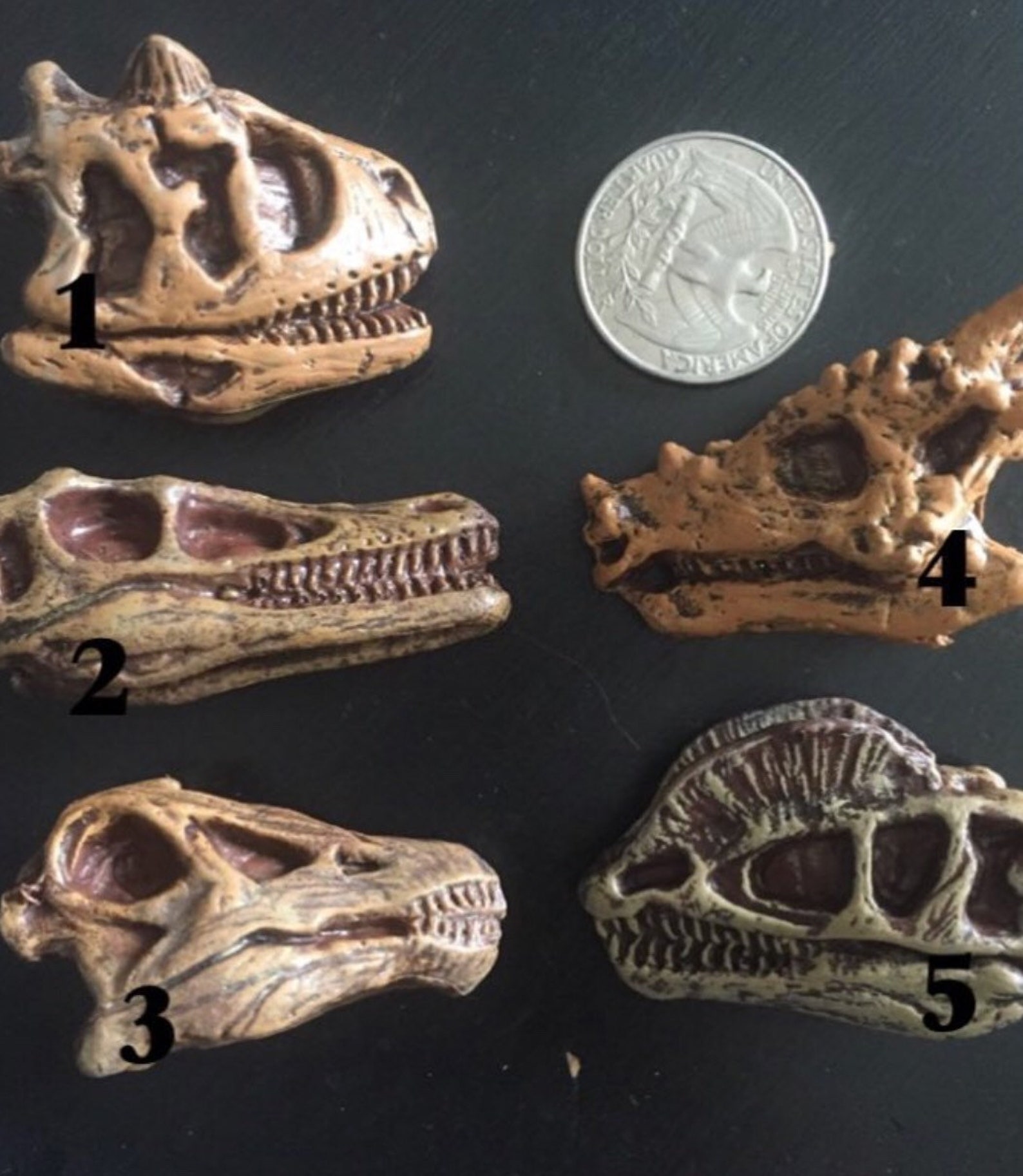 large dinosaur fossil mold