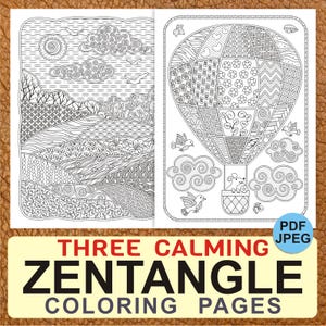 May include: Two black and white coloring pages featuring intricate patterns. The first page depicts a landscape with hills, clouds, and a sun. The second page features a hot air balloon with a mouse in the basket.