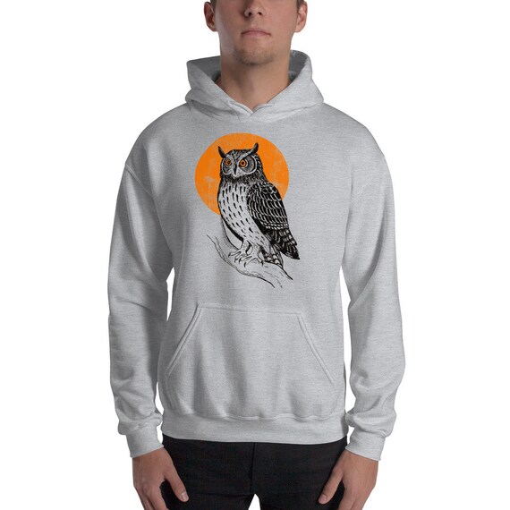 ucla blue hoodie
