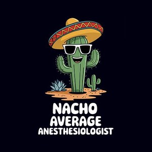 Puede incluir: Un cactus de dibujos animados con un sombrero y gafas de sol con el texto "Nacho Average Anesthesiologist".