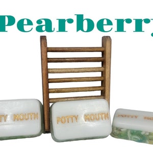 Potty Mouth Soap Set: Novelty Gag Gift Soaps