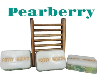 Wash Your Mouth Out With Soap - Potty Mouth Soaps - SET of 2 - Soap With Meaning