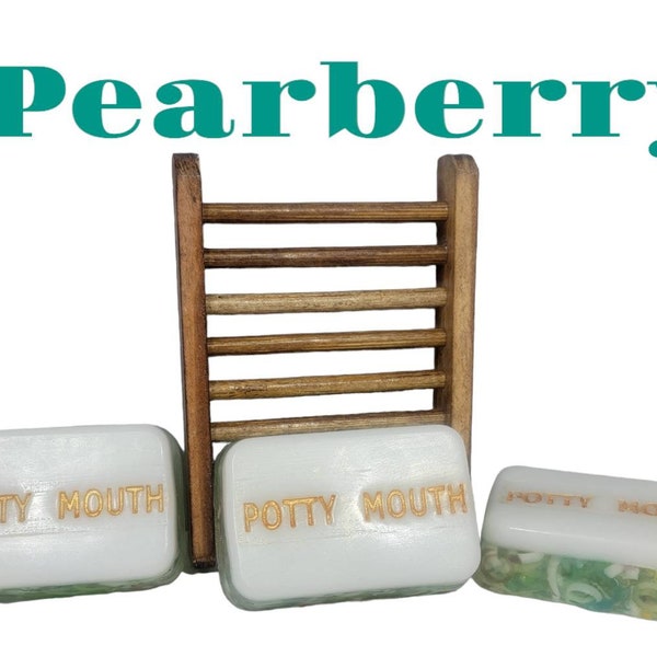 Wash Your Mouth Out With Soap - Potty Mouth Soaps - SET of 2 - Soap With Meaning