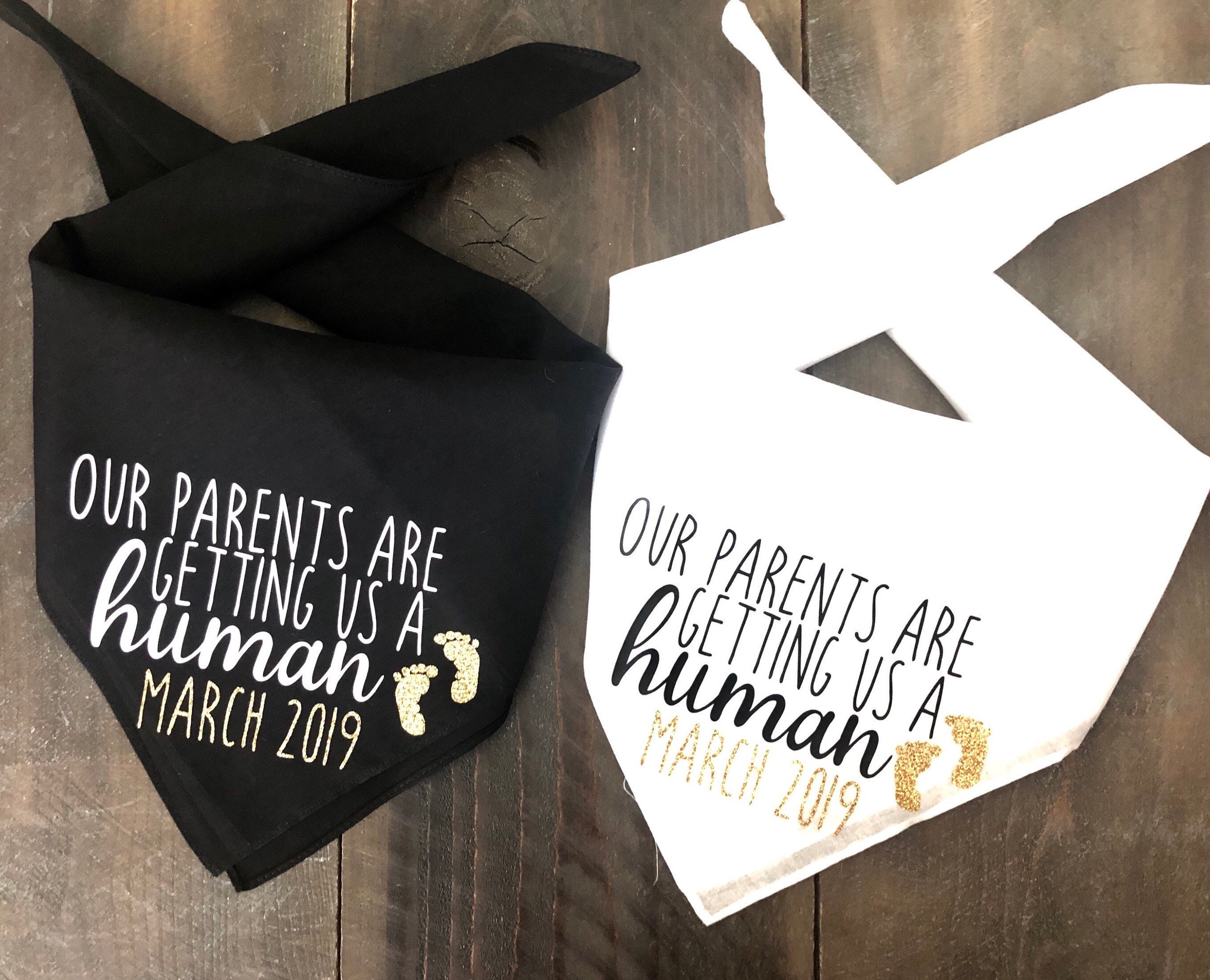 Our Parents Are Getting Us a Human Dog Bandanas. Pregnancy Announceme…