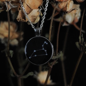 Leo constellation necklace / Leo zodiac sign necklace / astrology gifts / zodiac jewelry / July August September birthday gift