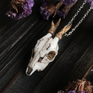 【60％OFF】 Deer Roe Jaw Etsy - Necklace 化粧水・ローション・トナー