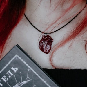 Anatomical human heart necklace / realistic heart pendant / goth necklace / goth jewelry / creepy necklace / vampire jewelry / human anatomy